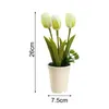 Decorative Flowers & Wreaths Bloom Forever Artificial Bonsai Aesthetic Plastic Craft Fake Tulip With Flowerpot For Desktop Wedding Home Deco