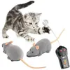 remote control cats