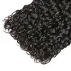 Brasilianska Human Hair Water Wave 2 Pieces / Lot Double Wefts Curly Två Bundlar Naturfärg 10-30Inch