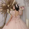 2021 Księżniczka Quinceanera Sukienki Zakane rękawy V ręcznie robione kwiaty Słodkie 16 suknie balowe bez pleców długie tiul vestidos de fiest2598