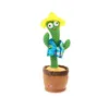 Plysch leksaker 120 Englisg Songs favor Dancing Talking Singing Cactus Music Electronic Toy med Song Potted Tidig utbildning för barn Roliga julklappar