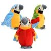bird toys parrot talking