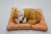 Lovely Simulation Animal Doll Plush Sleeping Cats Toy with Sound Kids Birthday Gift Decorations stuffed4827190