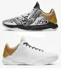 Mamba Zoom 5 Protro Basketball Shoes What If Bruce Lee Big Stage Chaos Prelude Metallic Gold Rings Men Shoe Sports Sneakers