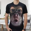 Herr t-shirts mode 2021 Summer Men 3D Tryckt Animal Monkey T-shirt Kort ärm Rolig design Casual Tops Tees Graphic230J