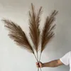 122cm bulrush artificiell pampas gräs phragmites växter bröllop blomma gäng dekoration diy heminredning falska blommor reeds gräs