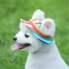 ПЭТ поставляет собака одежда для собак сетка дышащая солнцезащитная шляпка принцессы для кошек и собак 6 цветов DH9507
