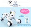 Perro inteligente con Control remoto inalámbrico de 2,4G, juguete educativo electrónico para mascotas, Perro Robot de baile ruso, regalo de cumpleaños