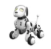 robot intelligent chien