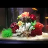 Предметы новизны Натуральный белый коралловый оболочкой Conch Reef Coney Aquarium ландшафтный дизайн дома меблировка