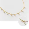 WOOZU Real 925 Sterling Silver Natural Freshwater Baroque Pearl Clavicle Choker Necklace for Women Wedding Anniversary Jewelry