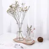 Mini Transparent Glass Vase Living Room Flowers Arrangement Decoration Hydroponic Dried Flower Bottle Creative