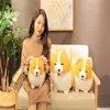 35/45/60cm Cute Corgi Dog Plush Toy Stuffed Soft Animal Cartoon Pillow Lovely Christmas Gift for Kids Kawaii Valentine Present 210728