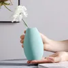 Le petit vase nordique simple ornement en céramique moderne fleur décorative porche arrangements de vie table meuble TV 210310