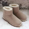 2021 Hot sell AUSG Mini 5854 women snow boots keep warm boot fashion Light skin womens booties winter shoes Free transshipment U5854