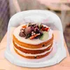 NEW Wrap 1 Pc 8in Portable Freezer Vegetable Fruit Storage Case Cake Box Carrier Gift DD