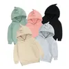 Kids Tales Aankomst Lente Warm Fleece Hoodies Dino Baby Jongens Meisjes Hoody Oudere kinderen Pullover Bovenkleding 6M-12Y 220309