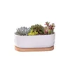 Ställ in minimalistisk vit keramisk saftig växt porslin planter hemmakontor dekoration julklapp1 potten 1 magasin y200709