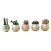 5 in set 2,2 inch container Planter keramisch stromende glazuur vijf kleurenbasis seriële sappige plant pot cactus bloeipatus cadeau y200709