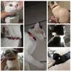 Pet Collar Water Diamond Love Cat Collars Dog Collars With Bells 5 Style de055