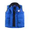 feather down jackets vests