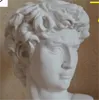David Head Portretes Biust Gypsum Statua Michelangelo Buonarroty Rzeźba Home Decor Craft Szkic Praktyka L1239 54 S2