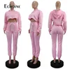 Echoine Women Winter Thick Warm Fleece Tracksuit 2 Piece Set Clothes Plus Size Crop Hoodie Pants Joggers Sweat Suits Outfits Y0625