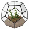 Venda quente vidro preto pentágono geométrico Terrarium recipiente de janela decoração de soleira de flor Plantador de varanda DIY Caixa de exibição Y200709