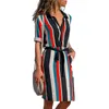Moda Kadınlar Yaz Elbiseler Varış Uzun Kollu Plaj Streetwear A-Line Şifon Parti Gömlek Elbise Giyim Robe Femme 210625