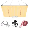 Grow Lights LM281B + Diodes Rustig Fanless Full Spectrum 600W LED Light High PPFD voor 2x3ft tent zaailing, groenten