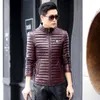 Men's Fur & Faux PU Leather Suede Men Parkas Down Jacket Coat Autumn Female Moto Outerwear Suit Garment Plus Size LF2030