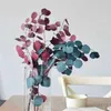 110g Lot Natural Conservered Eucalyptus Leaves Bouquet Eternal Dried Flower For Wedding Home Decoration Accessories Display Flower 2918