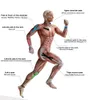 شريط العضلات المرفق ومنصات الركبة ضمادة رياضية علم الحركة الشريط لفة القطن المرن للاصق ملصق الإصابة الإصابة