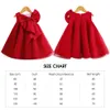 2021 nouvelle fleur fille robe enfants anniversaire robes de baptême pour enfants élégant grand arc robes filles Boutique fête porter des robes Q0716