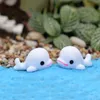 Mini süßer weißer blauer Delphin DIY Material Kuchen Puppenzubehör Wal Bonsai Handwerk Moos Terrarium Mikrolandschaft Feengarten GCE13378