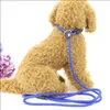 Dog Collars Leashes Training Leash Slip Pet Dogs Nylon Rope Lead Strap Adjustable Traction Collar WLL374