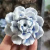 Decorative Flowers & Wreaths Ceramic Peony Flower Desktop Decoration Folk Crafts Simulation Pure Handmade