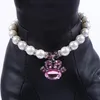 Hundkrafter Leashes Cat Pet Pearls Halsbandskrage Rhinestones Charm Pendant Puppy Tillbehör Smycken 5 Storlekar 2 färger