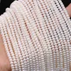 Perle d'eau douce naturelle de forme plate, perles amples d'isolation pour la fabrication de bijoux, accessoires de bracelet et de collier à faire soi-même, 3-4mm