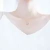 S925 Silver Clover Necklace Girl's Clavicle Chain Korean Sweet Lucky Grass Inlaid med Moonstone Pendant