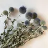 Decoratieve bloemen kransen 5 stks 22-40cmnaturaal gedroogde echinops sphaerocephalus arrangement Art Home Wedding Party Decoratie Flower Bouqu