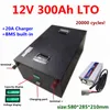 20000 cycli LTO 12V 300Ah Lithium Titanate Batterij 2.4v batterij voor Heftruck Driewieler zonnestelsel caravans + 20A Charger