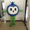 Costume della mascotte del mirtillo di Halloween Personaggio dei cartoni animati di frutta di alta qualità Personaggio a tema anime Formato adulto Carnevale di Natale Festa di compleanno Vestito operato