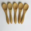 500pcs 9cm Ice Cream Yogurt Bamboo Dessert Spoon Fork Baby Kids Use Mini Bamboo Spoons Bamboo Forks