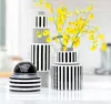 Vazen creatieve keramische geometrische zwart -witte strepen woonkamer tafel decor fles kunst moderne treeds flower home