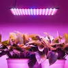 1000W LED Grow Light Painel Full Spectrum Phyto Lamp AC85-240V UE / US Plug 255led para plantas de barraca de interiores Luzes de crescimento