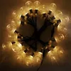 nouveauté 20 LED 6M Effacer Globe Festoon Party Fée Guirlande Lumineuse Vacances De Noël Garland EU AU US UK PLUG Y200603