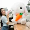 Net-Red Big Cute Rabbit Plush Toy Kawaii Cartoon Bunny Doll Pillow for Girl Special Gift 65cm 75cm Dy50944