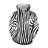 zebra fashion wear