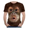 Nieuwe Fancy T-shirt Custom onder 100 mannen te koop dier 3D-printen Monkey Face Digital Gedrukt T-shirts T-shirts